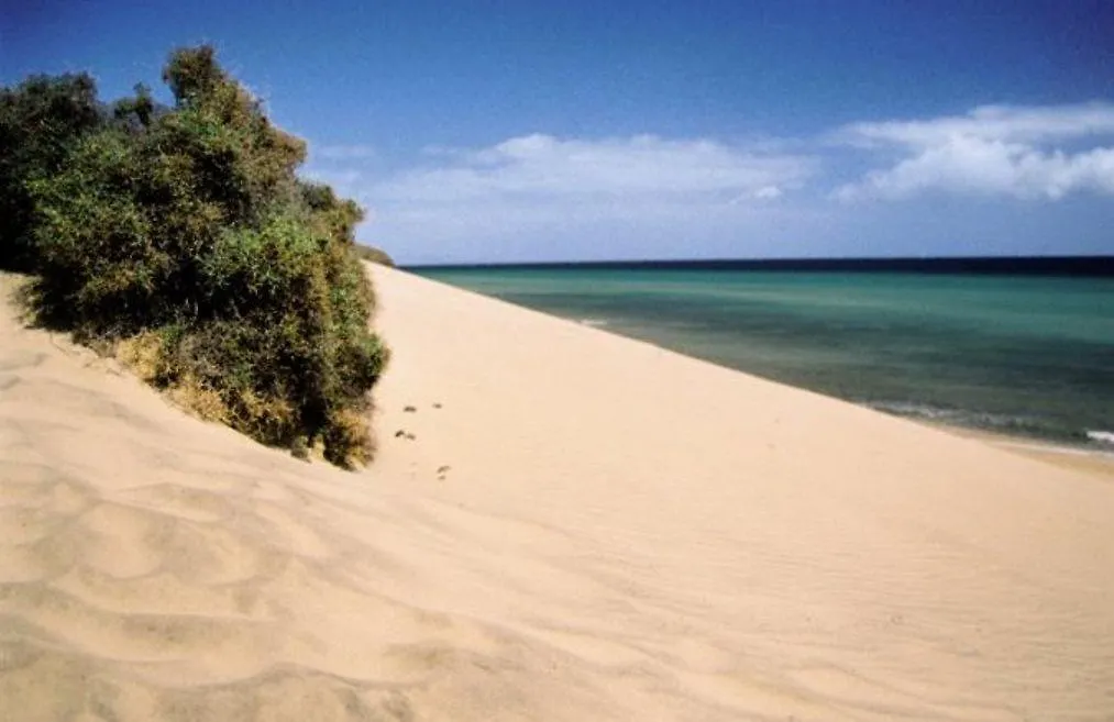 Fergus Cactus Garden Hotel Morro Jable  4*, Morro Jable (Fuerteventura)